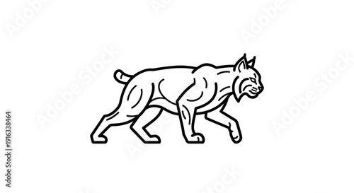 Lynx Walking Silhouette, Wild Cat, Predator, Line Art, Vector Illustration