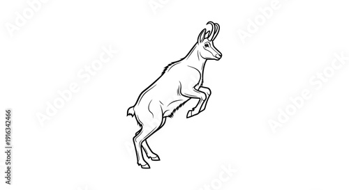 Line Art Drawing of a Chamois Jumping in Motion