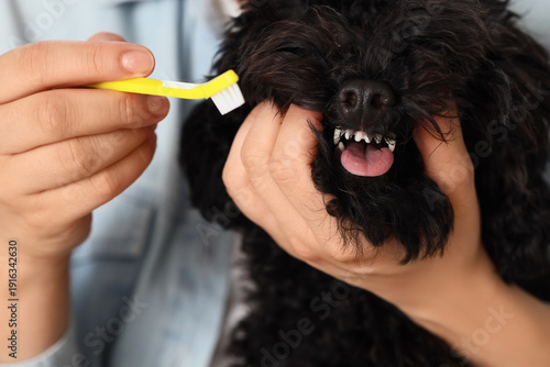 Young woman with toothbrush...