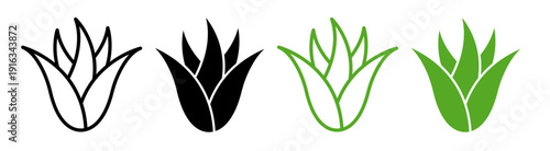 Aloe vera icons pack. vector illustrations designs
