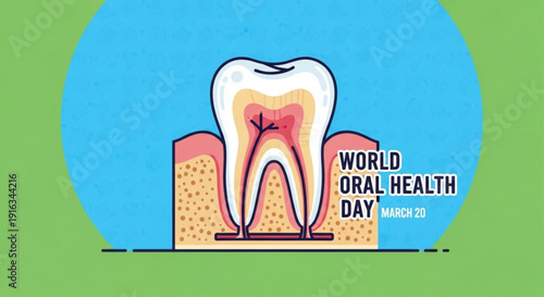 World oral health day illustration with tooth cross section and gum anatomy on blue and green background