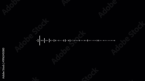 Animation white audio frequency waveform spectrum.
