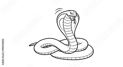 Aggressive Cobra Snake Ready to Strike, Black and White Line Art