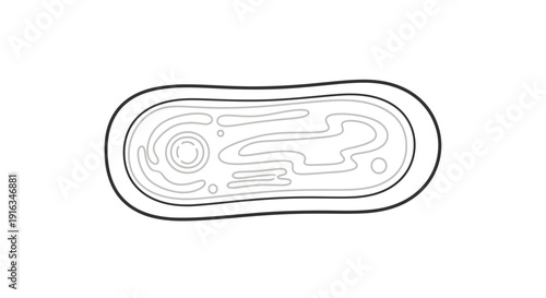 Abstract illustration of a cell nucleus and organelles, scientific diagram