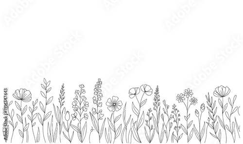 Premium Wildflower Floral Border - Minimalist Hand-Drawn Meadow Illustration, Elegant Line Art Garden for Wedding Stationery, Website Footer  Organic Brandin