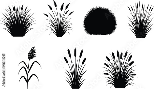 Grass and reed silhouette collection, wild marsh plants set, black botanical nature elements for landscape decoration, flat vector illustration