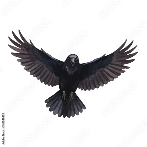 Watercolor Crow Illustration