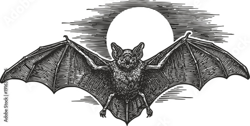 Bat silhouette flying with wings spread wide under full moon night background