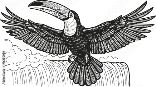 Black and white illustration of flying toucan bird with outstretched wings above waterfall scene