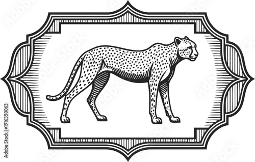 vintage cheetah engraving with ornamental frame wild cat, spotted predator silhouette, retro wildlife illustration