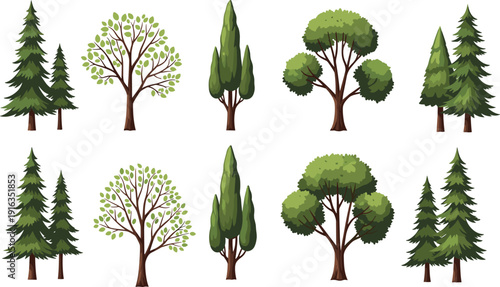 Collection of different tree types isolated on white background forest nature evergreen and deciduous plants vector illustration set
