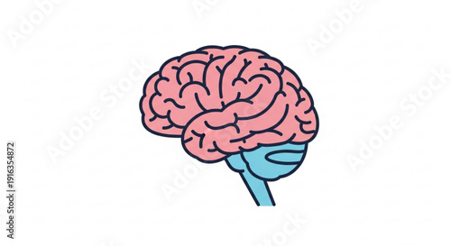 Human brain with pink cerebrum and blue stem on white background symbolizing intelligence and cognition in a simple flat illustration style