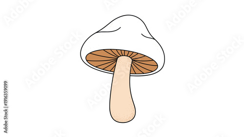 Single white mushroom with a thick stem and brown gills underneath is shown in a simple cartoon illustration on a white background.