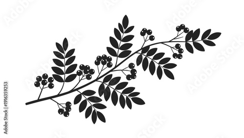 Black silhouette of a leafy branch bearing multiple clusters of round berries is presented on a plain white background.