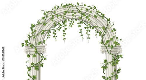 Elegant classical white column arch decorated with lush green ivy vines climbing and hanging for garden or wedding decoration background.