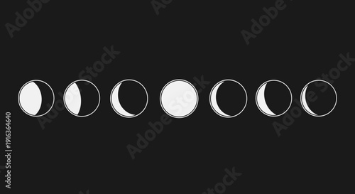 Phases of the Moon Cycle 22.