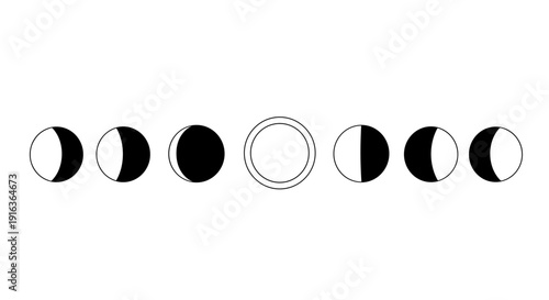 Phases of the Moon Cycle 23.