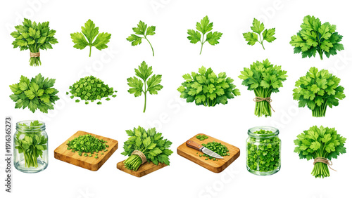 A charming watercolor collection of fresh parsley herbs, including leafy sprigs, tied bunches, chopped parsley piles, glass jars, and rustic wooden cutting boards.