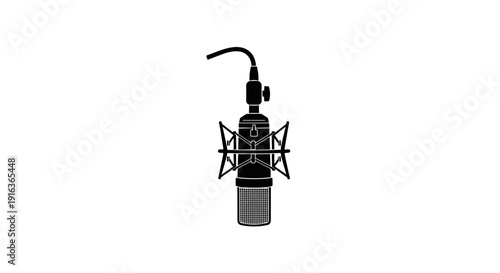 Professional studio condenser microphone.