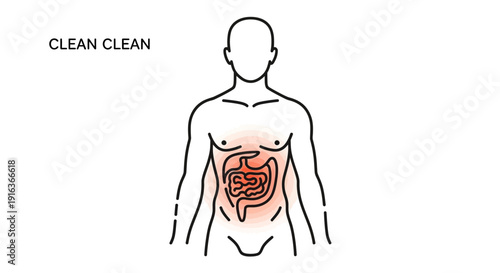 Human digestive system illustration with red glow, clean body concept