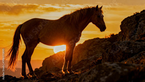 A horse stands proudly on rocky terrain at sunset, its figure illuminated against a colorful sky, capturing the essence of wild freedom.