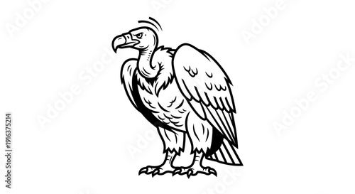 Stylized Vulture Bird Illustration - Black and White Line Art