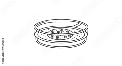 Petri dish with cell culture, scientific research, laboratory equipment, microscopic view