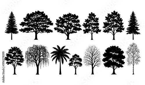 Realistic Black Tree Silhouettes Collection Isolated on White Background