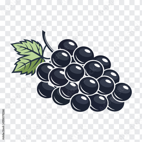 A bunch of black grapes with a green leaf