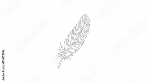Minimalist Feather Illustration on White Background - Delicate and Elegant Design