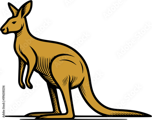 kangaroo vector illustration