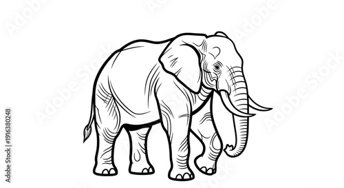 Elegant Elephant Line Art Illustration - Majestic African Animal Drawing