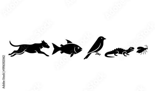 Black animal silhouette vector set with mammals birds fish insects and reptiles icons