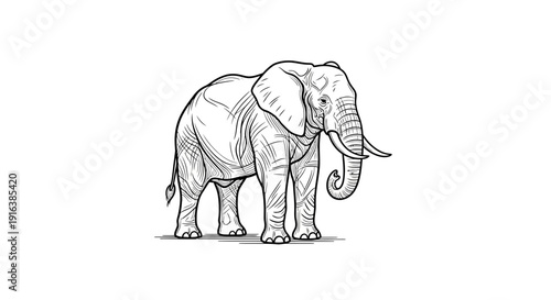 African Elephant Line Drawing Illustration