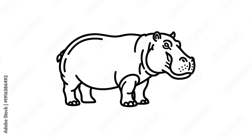 Fototapeta premium Outline illustration of a hippopotamus, simple line art, isolated on white background