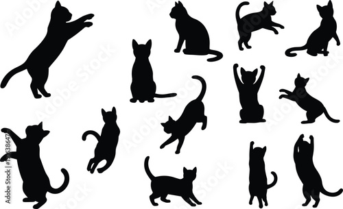 Playful cat silhouettes set with various poses, jumping standing and sitting feline icons for pet care and animal lover design,