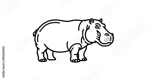 Outline illustration of a hippopotamus, simple line art, isolated on white background