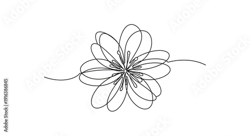 Minimalist single line drawing of a delicate flower, elegant continuous line art