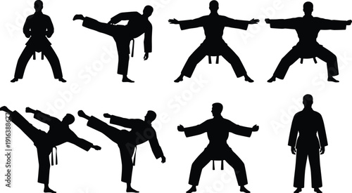 Professional karate martial arts silhouettes set, athletic male characters in combat stances and high kick poses for dojo, training, and sports competition design,