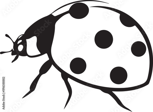 A black and white ladybug with black spots Vector, illustration