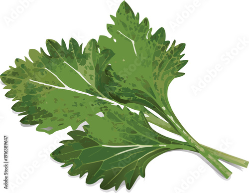 Fresh green oak and maple tree foliage with vibrant leaves on a natural branch during a lush spring or summer season in a macro botany close-up.