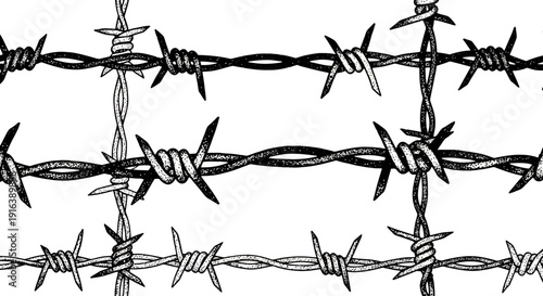 barbed wire fence, security, protection, danger, prison, boundary