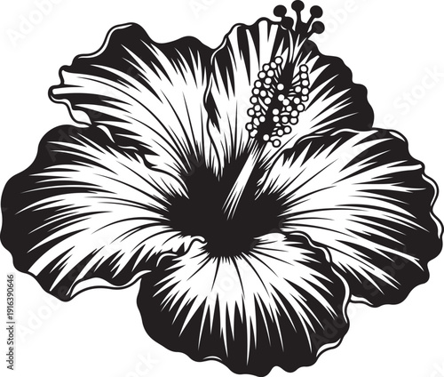A large black and white flower with many petals Vector, illustration