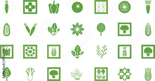 Organic set of green plant icons and eco leaf symbols featuring nature design elements in a vector illustration for environmental bio recycling and earth.