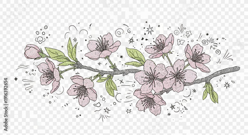 cherry blossom branch sketch, spring floral design