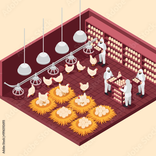 Poultry Farm Workers Feeding Chickens Isometric View.