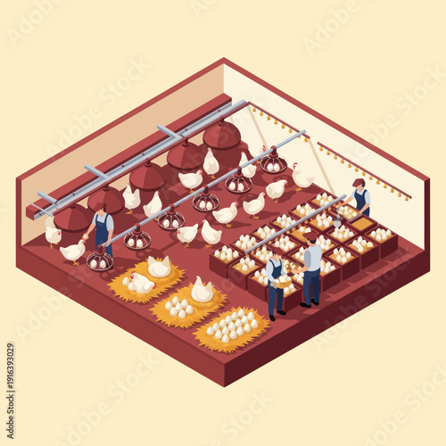 Dairy Farm Production Line Workers Milking Cows.