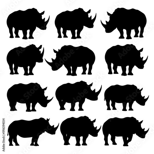 Photography wild animals silhouettes