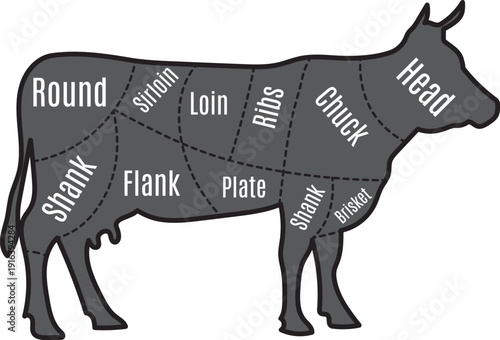 Cow cutting guide. Animal meat butchery diagram
