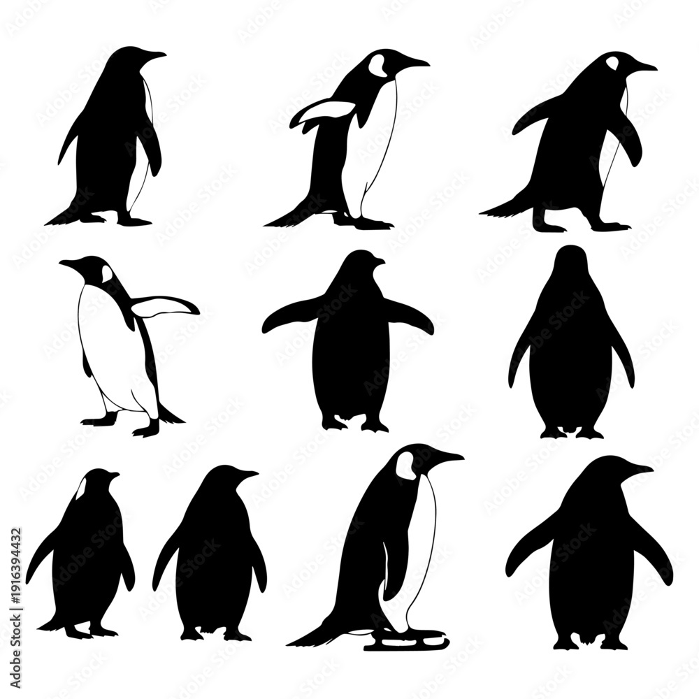 Obraz premium Various penguin species depicted in minimalist black and white vector outlines for creative design.